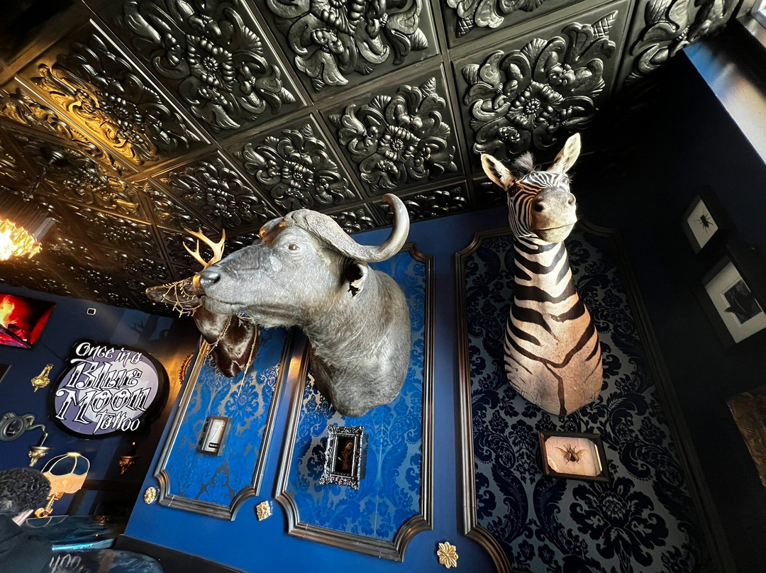 Once in a Blue Moon Tattoo-约翰斯克里克必去景点