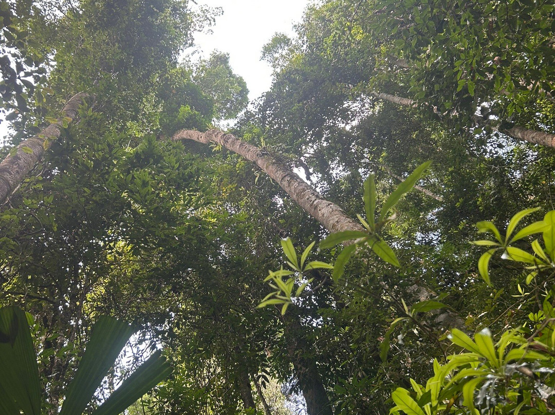 Ton Chong Fa Waterfall-拉克山必去景点