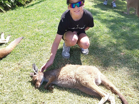 Glen-Forest Tourist Park & Vineyard-Port Lincoln必去景点