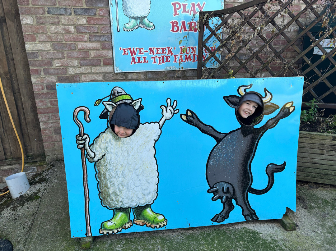 Big Sheep & Little Cow-Bedale必去景点