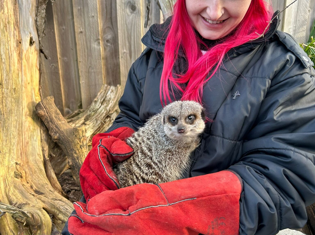 Nanny Sharon's Alpaca Farm C.I.C-Prenton必去景点