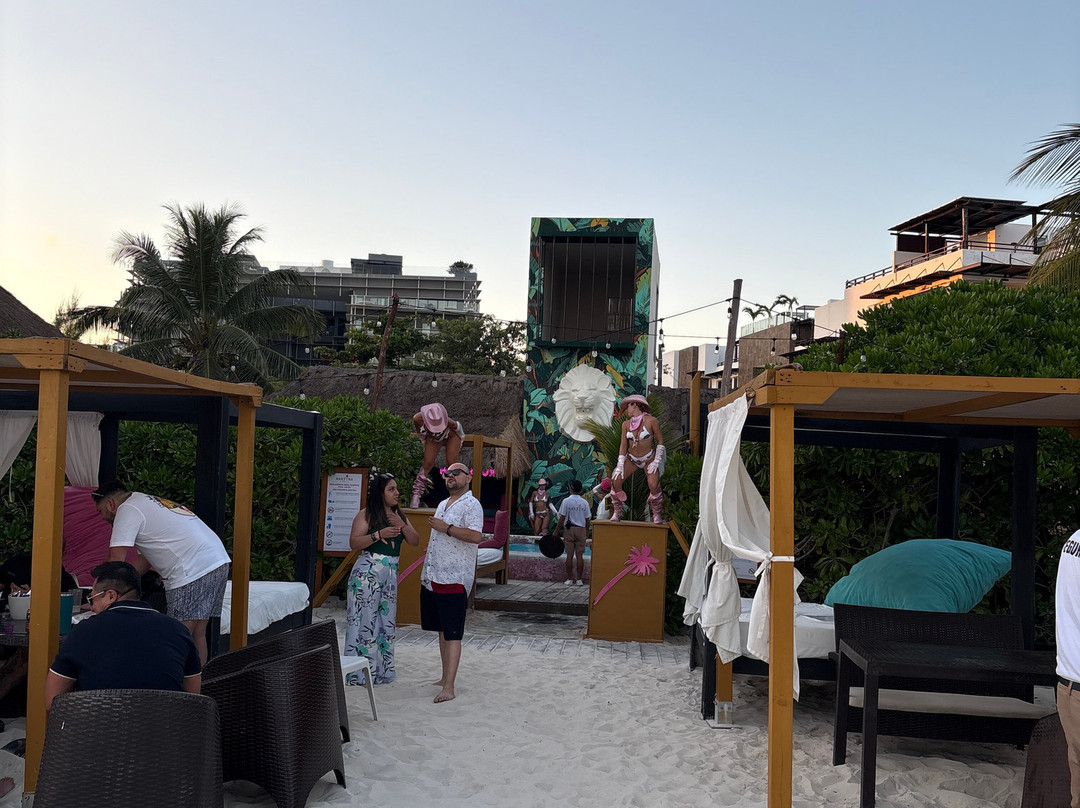 Martina Beach Club-普拉亚德尔卡曼必去景点