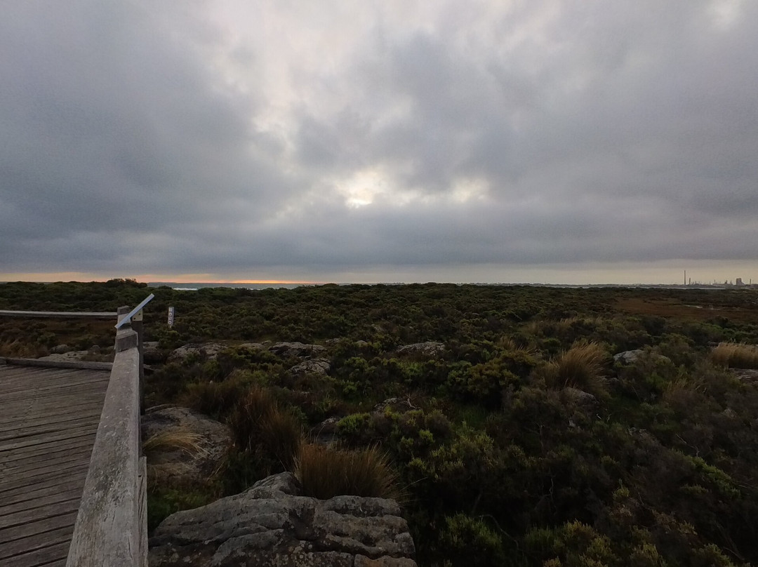 Jawbone Flora and Fauna Reserve-威廉斯镇必去景点