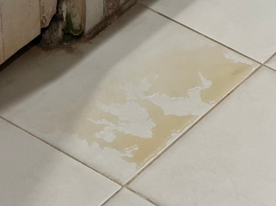 Mahishadal Rajbari-Haldia必去景点