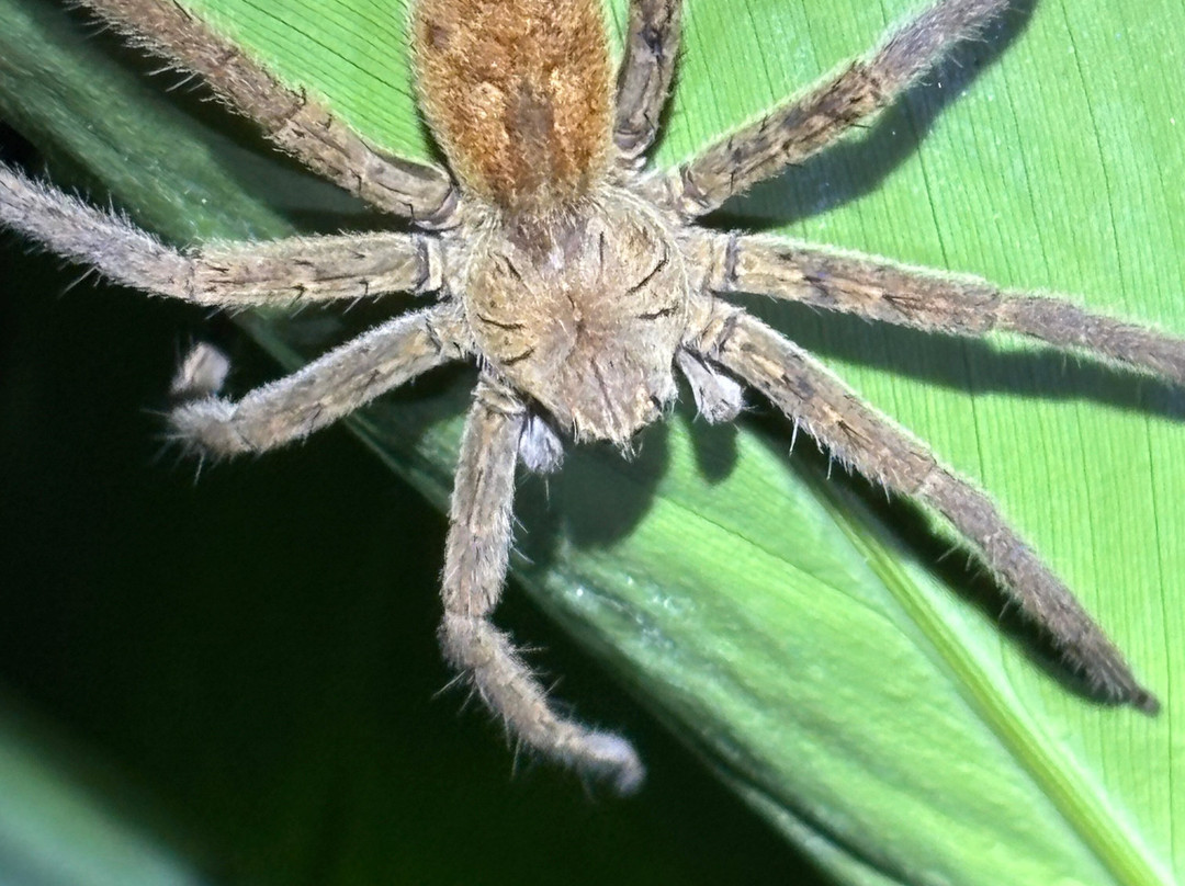 Santa Lucia Falls-乌维塔必去景点
