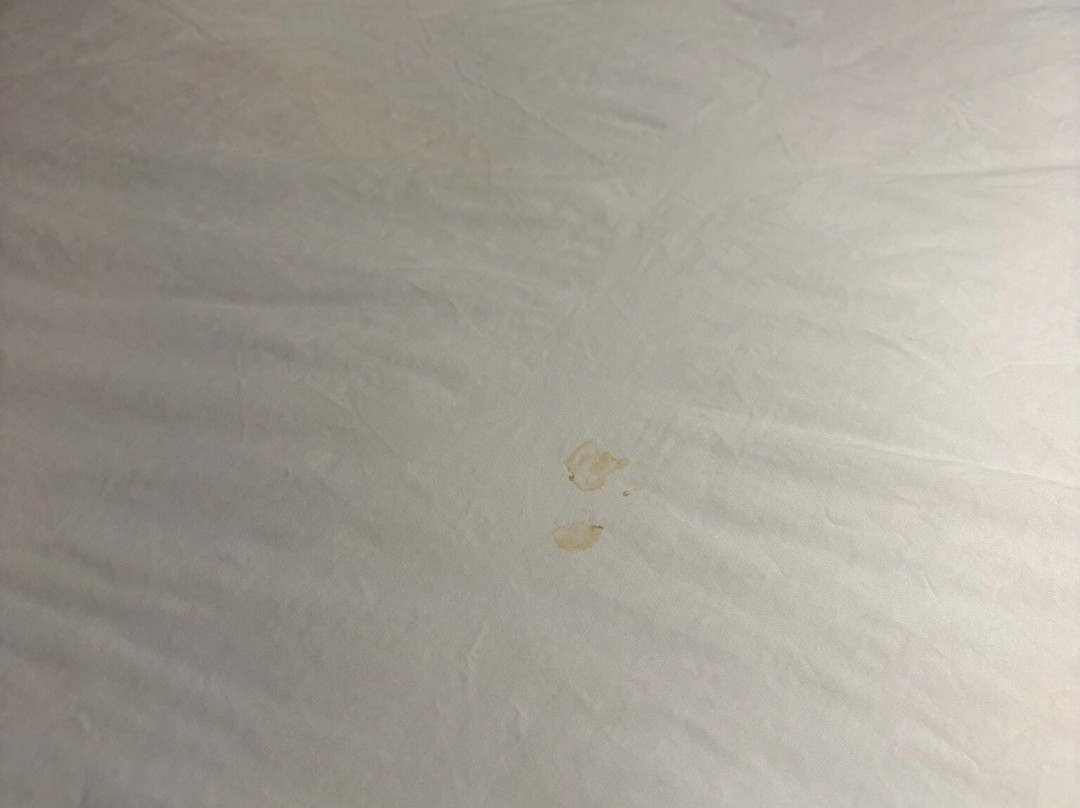 SpringHill Suites by Marriott Savannah I-95 South主图