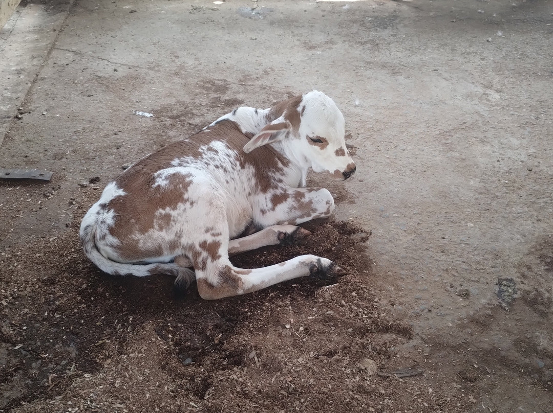 Hotel Fazenda Sete Lagos主图