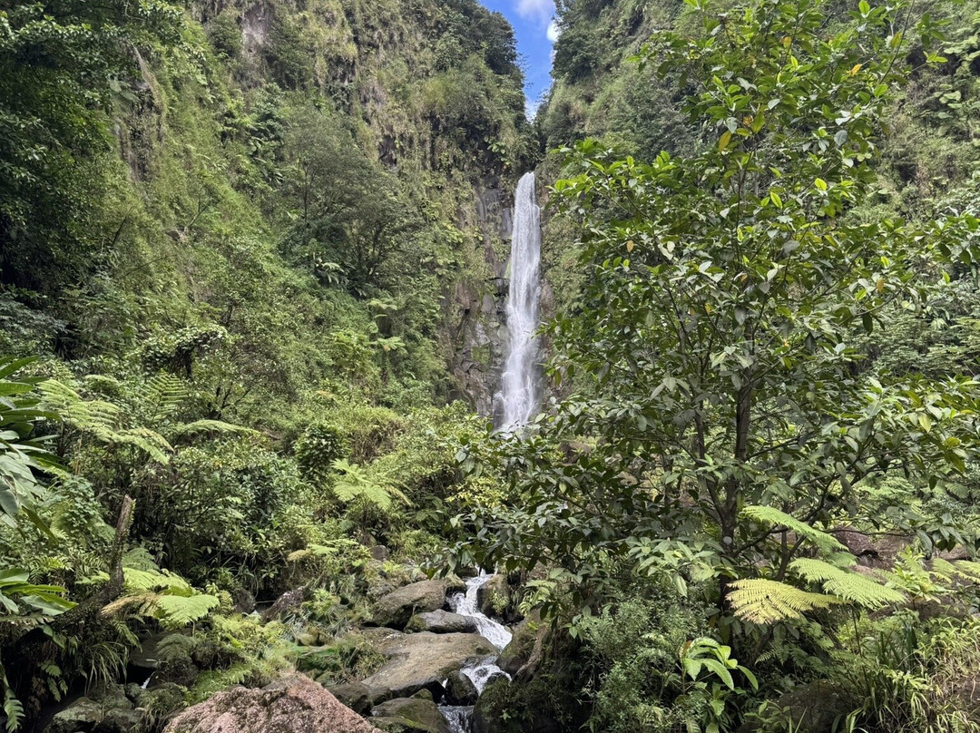Just Go Dominica-多米尼克必去景点