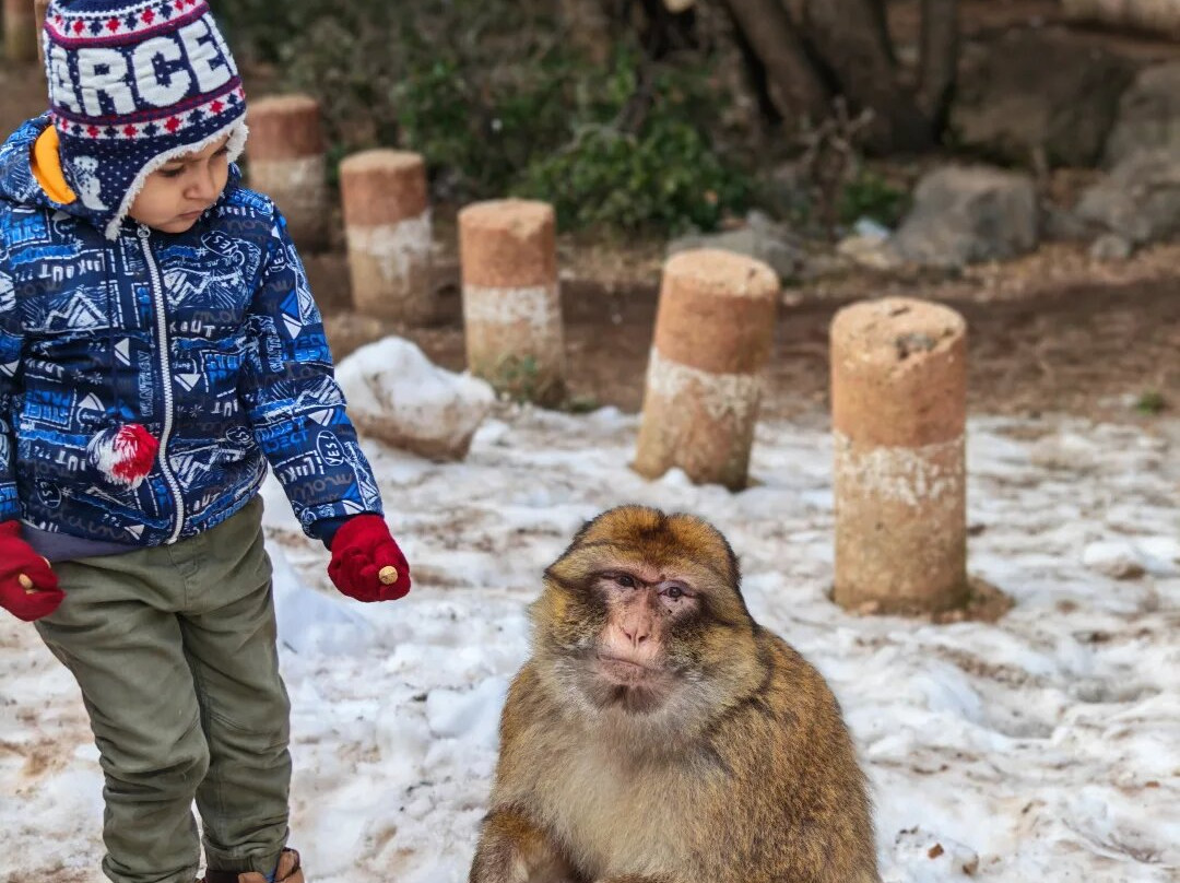 Mountain Desert Tours-马拉喀什必去景点
