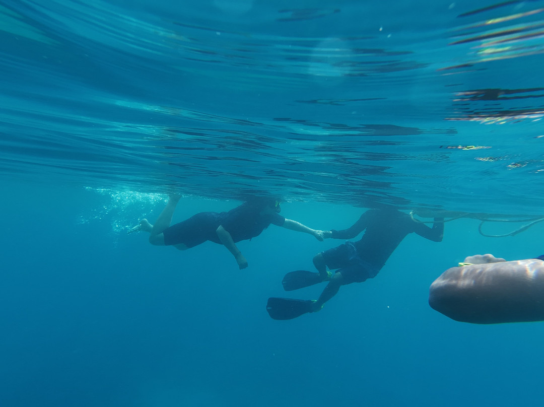 Turquoise Dream-Neil Island必去景点