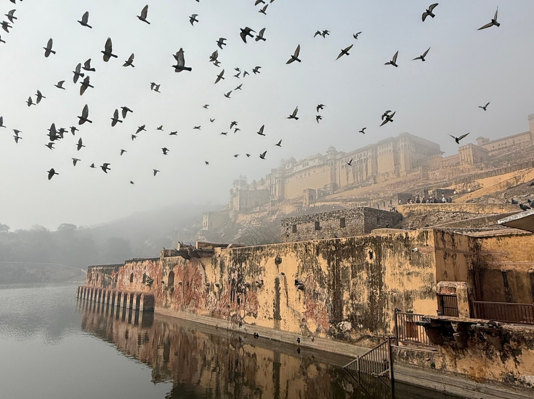 Alis Tuk Tuk Jaipur-斋蒲尔必去景点