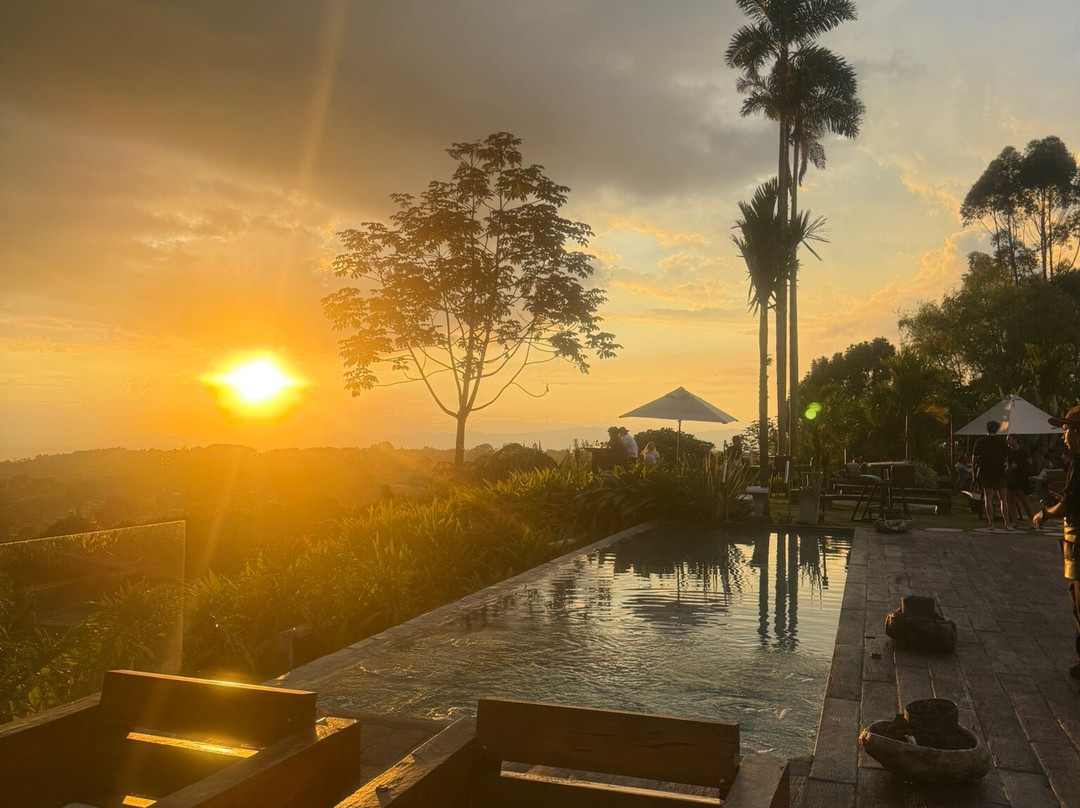 Bio Habitat Hotel主图