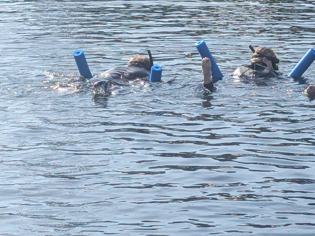 Nature's Discovery Manatee Tours-克里斯特尔里弗必去景点