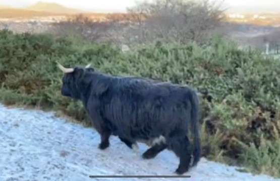 Pentland Hills-爱丁堡必去景点