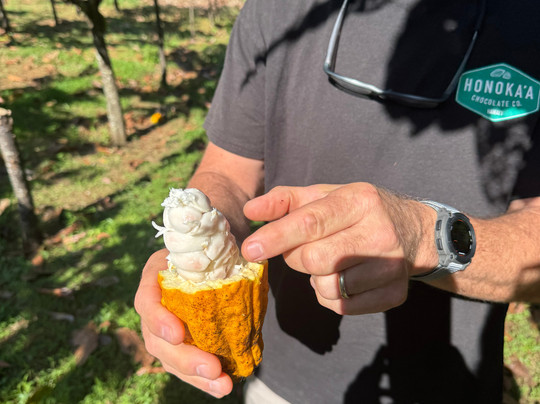 Honokaa Chocolate Co-霍诺卡阿必去景点