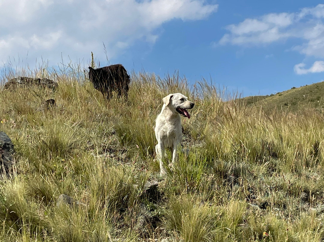 Estancia El Pico-Tupungato必去景点
