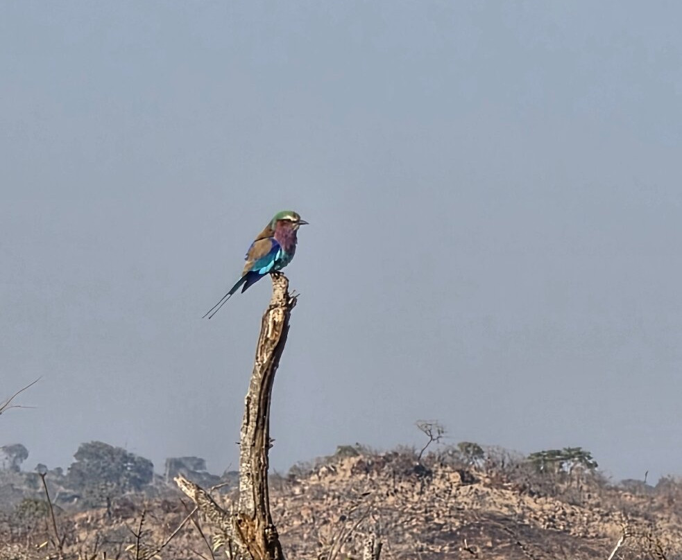 Africa Explore Safaris-开普敦必去景点