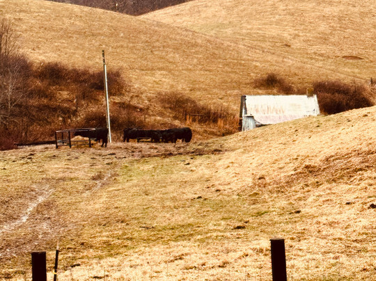 Shipley Farms-Vilas必去景点