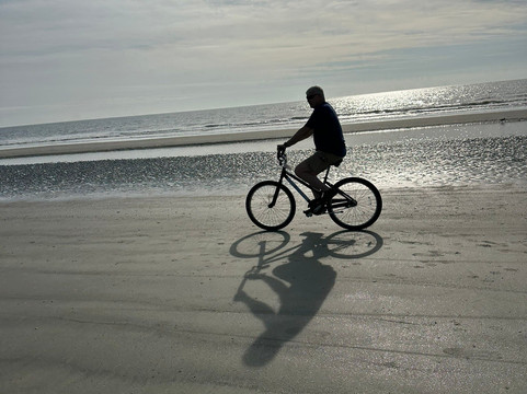 Island Life Bike Rentals & Dolphin Tours-希尔顿头岛必去景点