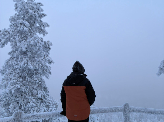 Eeron Polku Trail-Pello必去景点