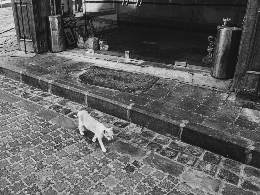 巴拉德-吉达必去景点