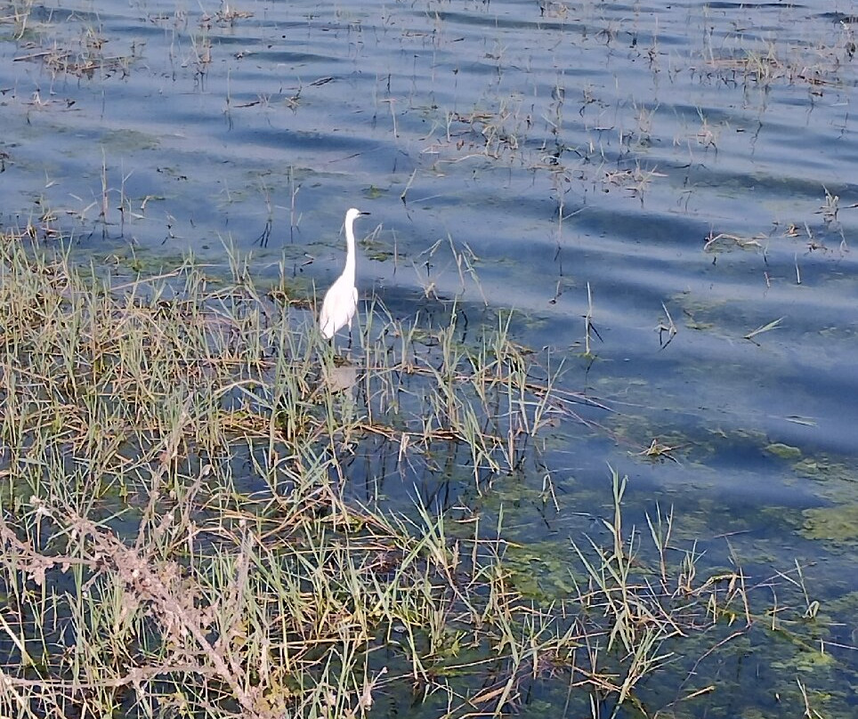 Venugopala Swamy Temple-迈索尔必去景点