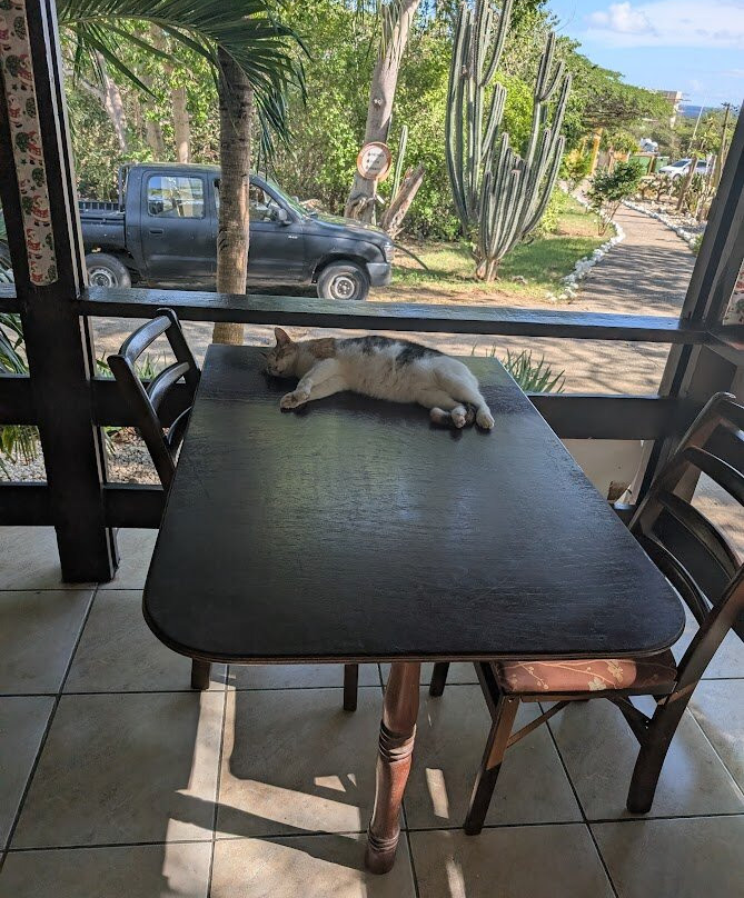 Hato Caves-威廉斯塔德必去景点