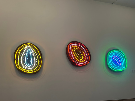 The Ian Potter Centre: NGV Australia-墨尔本必去景点