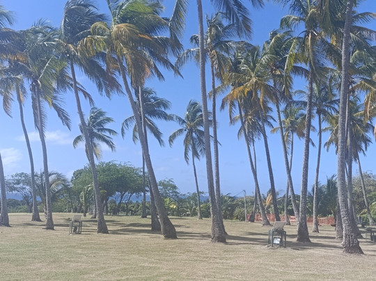 Habitation Murat-Grand Bourg必去景点