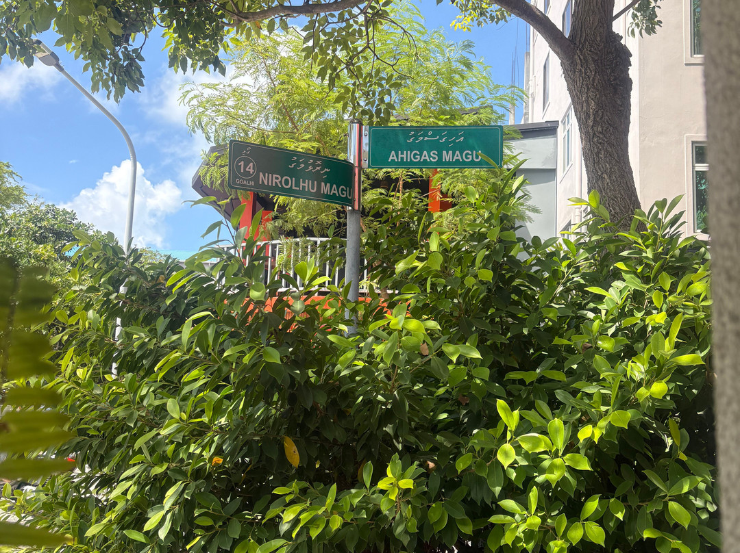 维卢休闲旅馆主图