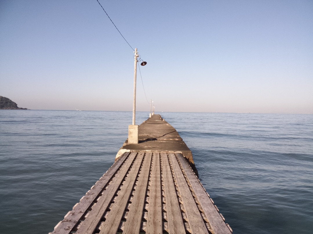 Okamoto Pier-南房总市必去景点