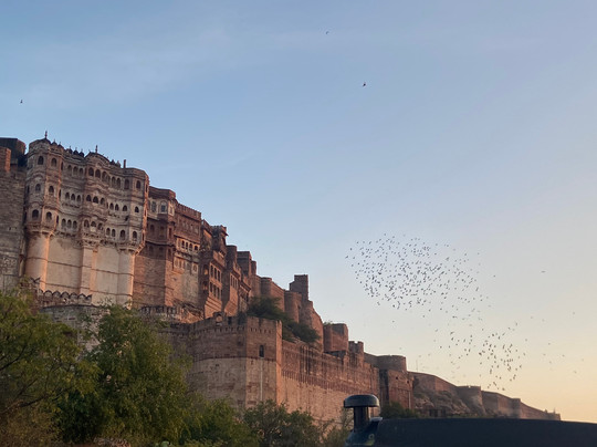 K.S.Tours-焦特布尔必去景点