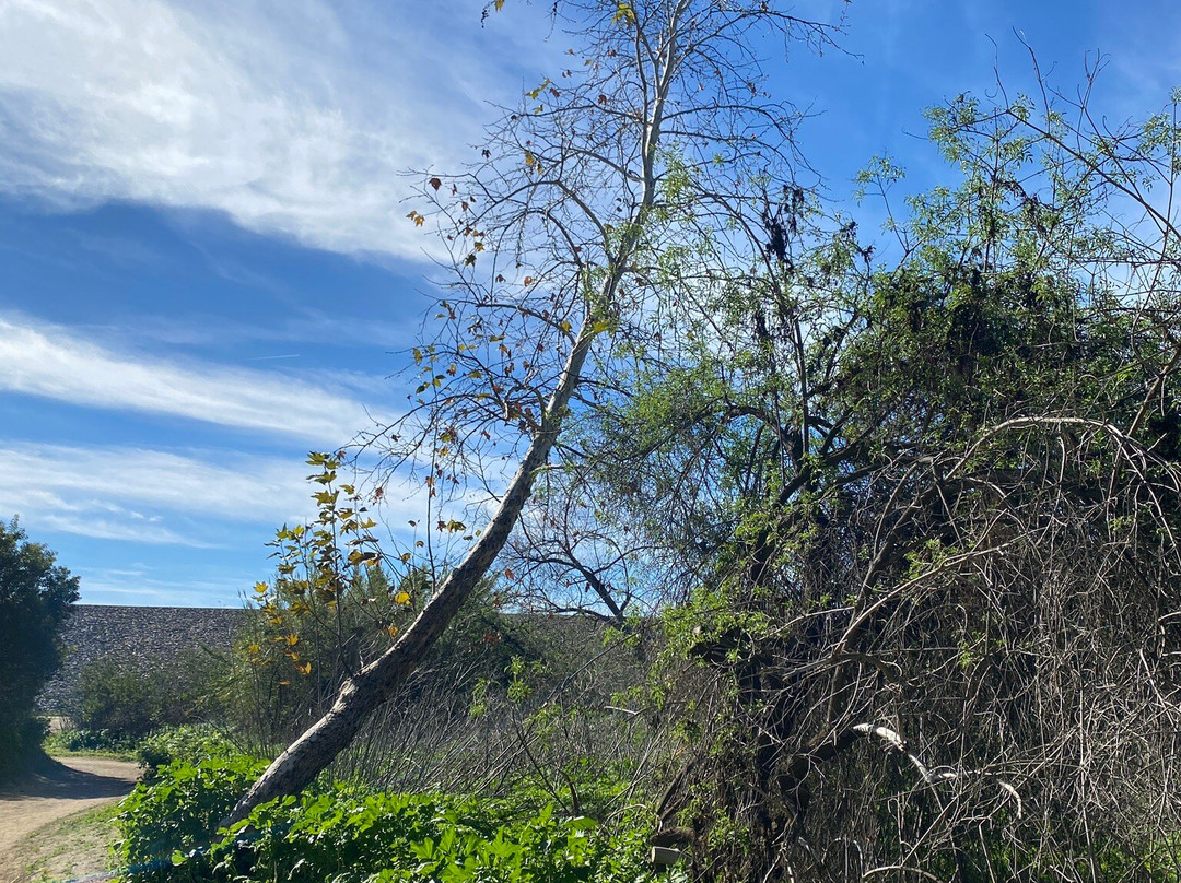 Carbon Canyon Nature Trail-Brea必去景点