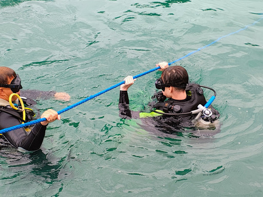 Narwhal-伊利亚贝拉必去景点