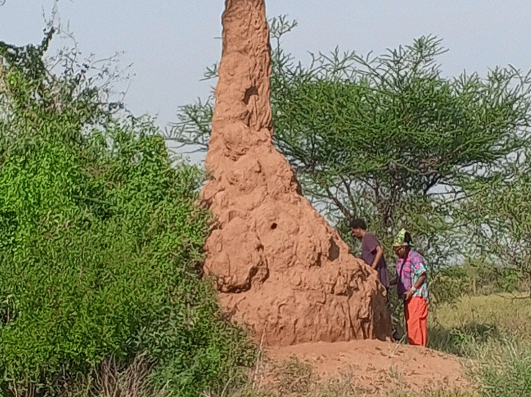 Omo Valley Experience Tours-亚的斯亚贝巴必去景点