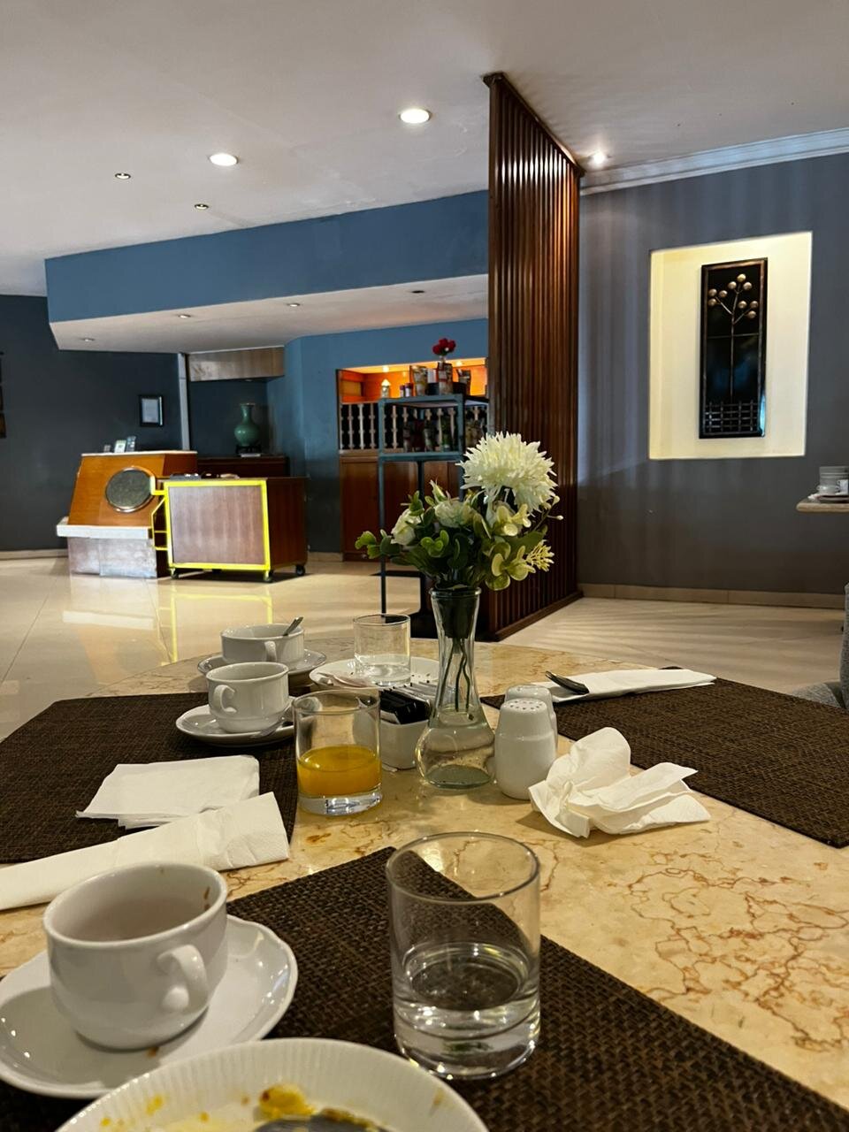 阿利亚杜塔玛纳多酒店-官方