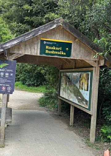 Ruakuri Walk-怀托摩洞穴必去景点
