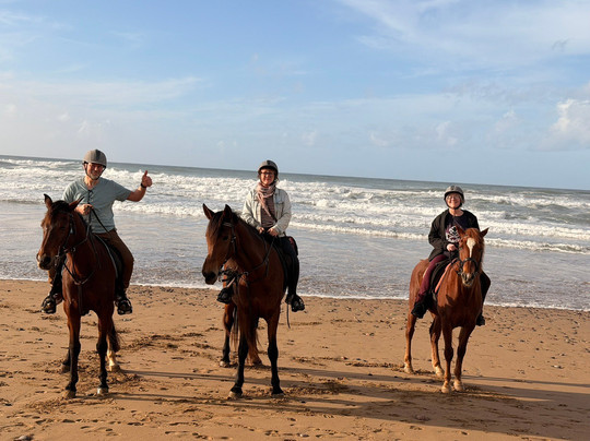 Greenwave Ecolodge Mirleft主图