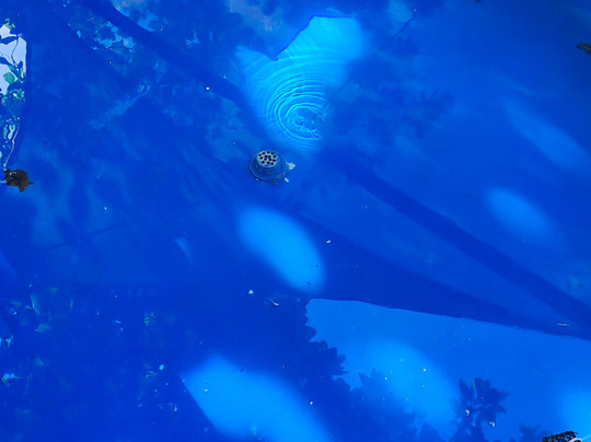 Projeto Tamar-普拉亚多海滩必去景点