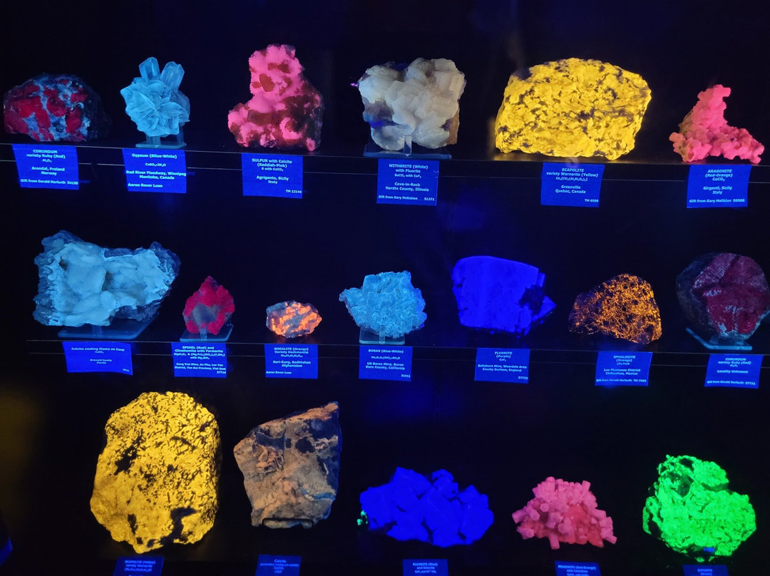 Mines Museum of Earth Science-戈尔登必去景点