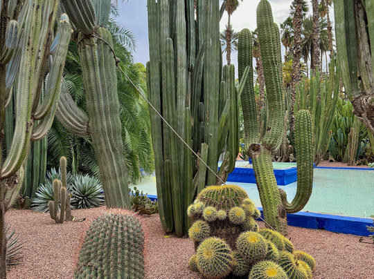 Morocco Travel Destinations-梅如卡必去景点