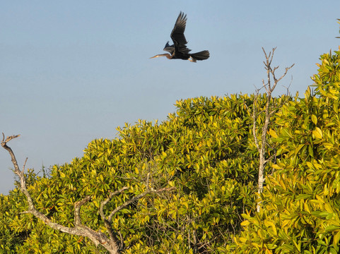 Chinuka Lagoon Safari-美蕊沙必去景点