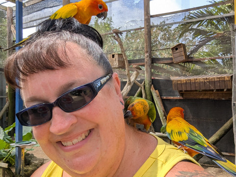 Parotte Ville Bird Sanctuary-圣马丁岛必去景点