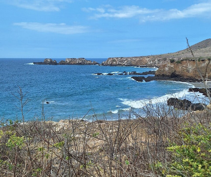 Isla de la Plata-Puerto Lopez必去景点
