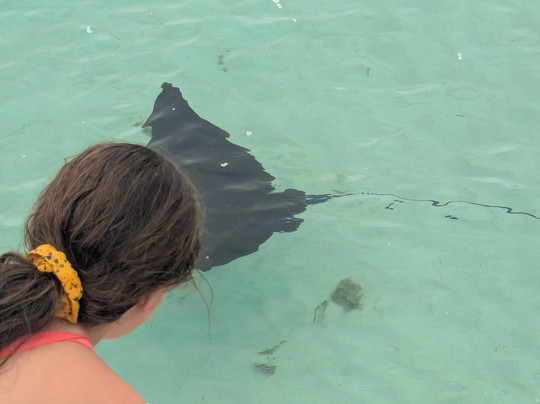 Dadou Excursion-阿尔比恩必去景点