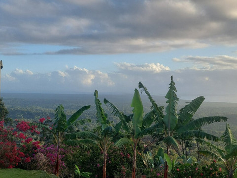 Bocas Ridge Hotel & Residences主图