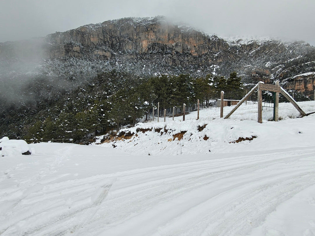 Zoo Del Pirineu-Oden必去景点