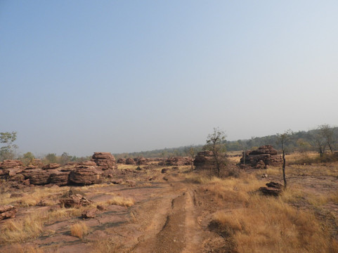 Safari Monks-Bandhavgarh National Park必去景点