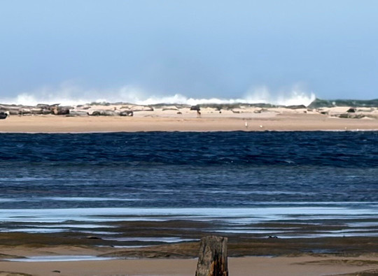 Pieman River Cruise-Corinna必去景点