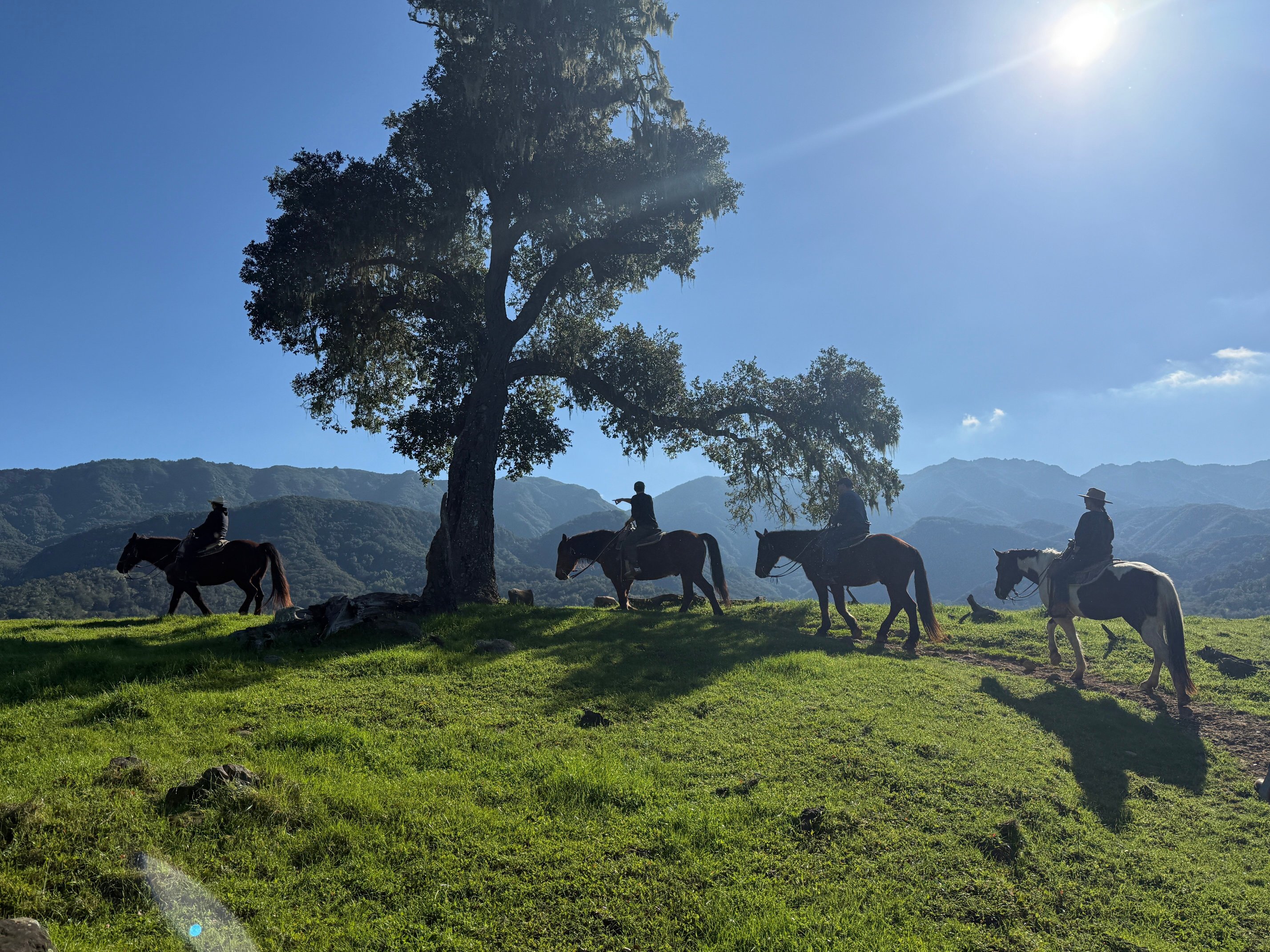 阿利萨度假牧场-官方